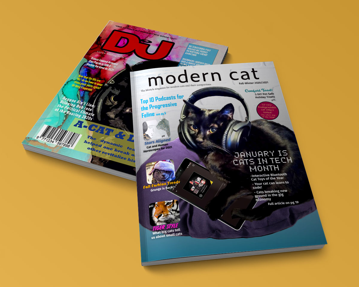 Magazine Cover Mockups
